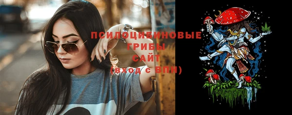 прущие грибы Алзамай