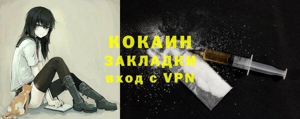 стафф Алексин