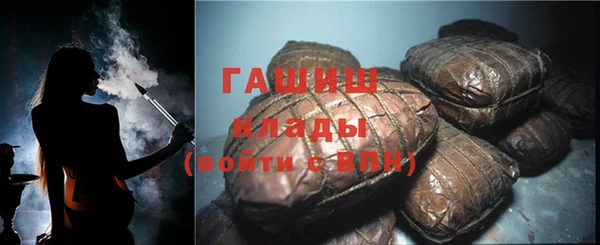 прущие грибы Алзамай